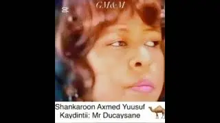 Heesta: Qarni !!! Hobaladda: Shankaroon Axmed Yuusuf (Sagal)