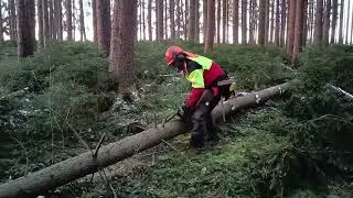 Motors&auml;genkurs - Entastung