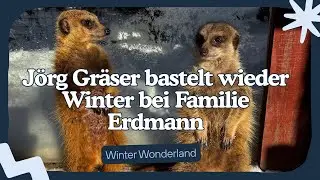 Erdmännchen im Schnee – Jimmys erster Winter & der Sprottenbaum