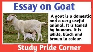 Essay on Goat | Essay on Goat 🐐 in English | The Goat Essay | Study Pride Corner