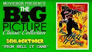 Big Picture Classic - 