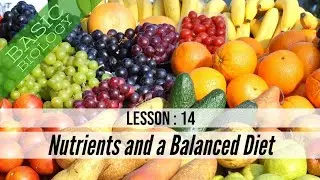 Nutrients and a Balanced Diet - Basic Biology - Lesson 14 (GCSE Science)