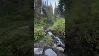 Fun Tesla Adventures