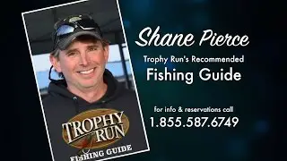 Branson Missouri Fishing Guide Shane Pierce | Trophy Run Resort