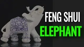 Feng Shui Elephant Placement -5 Things You Should Not Be Keeping In Your House Anymore