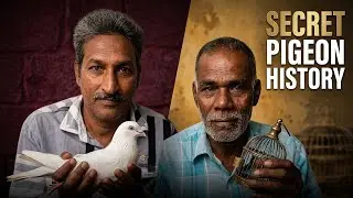 49 ವರ್ಷಗಳ ಪಾರಿವಾಳ ಪಯಣ | ವಿಲ್ಸನ್ ಗಾರ್ಡನ್ ಶೇಖರ್ | BTS ತಾಮ್ರಲ್ ಕಥೆ | Pigeon Pulse Interview#pigeonpulse