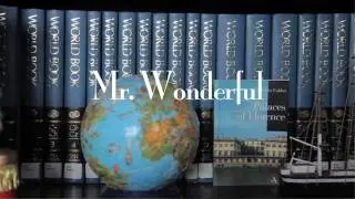 The Making of Mr  Wonderful