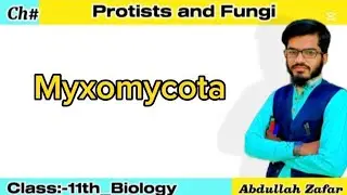 Myxomycota | Plasmodium Slime Molds | Fungi Like Protists | Class 11th-Bio | Pashto | Abdullah Zafar