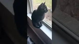 Спой свою песню