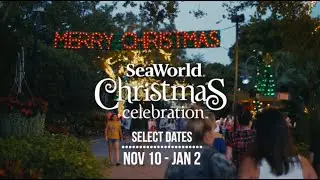 Christmas Celebration Select Dates Nov 10-Jan 2  | SeaWorld Orlando