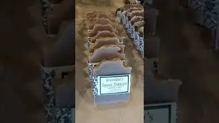 Boll Weevil Soap Company Fall Soap Line 2019