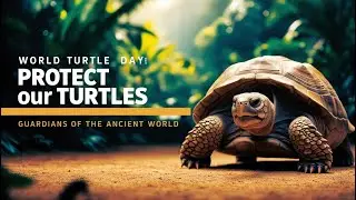 World Turtle Day 2025  Guardians of the Ancient World