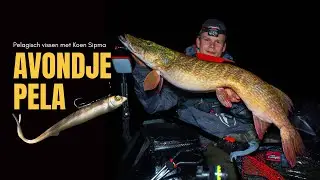 Pelagisch op grote snoekbaars en snoek met Koen Sipma!