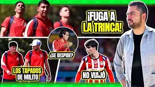 ⚠️ El PLAN de MILITO en Irapuato. 3 AUSENCIAS clave abren puertas. El posteo de Wilke ¿bye Chivas?