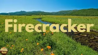 Josh Turner - Firecracker (Lyrics)