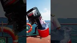 testing #seamanlifeatsea