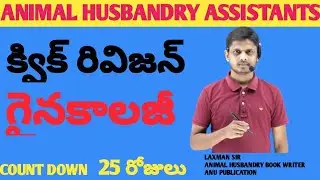 AP animal husbandry classes in telugu|| Gynecology||!! AP animal husbandry in Telug