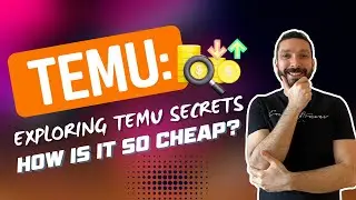The Price Puzzle: Exploring Temu's Competitive Pricing Strategy