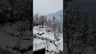Manali fresh snowfall new year 2020
