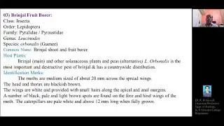 S. Y. B. Sc Lecture: 22 Life Cycle of Brinjal Fruit Borer & Mango Stem Borer (K.J.S.College-Science)