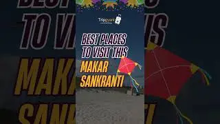 best uttrayan venue in gujarat | #ahmedabad  #dhordo  #vadodara  | tripgyani