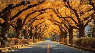 Tranquil Path｜Chill Music Mix