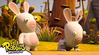 Copycat Rabbid | RABBIDS INVASION 🐰 | Cartoon for Kids