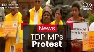 TDP MPs Protest At Parliament