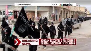 Sheera Frenkel on MSNBC Live 2-4-15