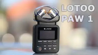 Lotoo PAW 1 XY Microphone - Audiophile ASMR Experience