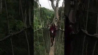 The Canopy Walk, Kakum National Park, Ghana