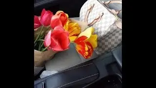 What's in my bag? Louis Vuitton Speedy 30 Damier Azur
