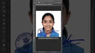 How to Remove Signature & Stamp from Documents No Photoshop Needed!