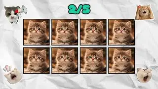 SAY THE WORD ON BEAT CHALLENGE | 1&ndash;5 Levels | Easy Beat Game