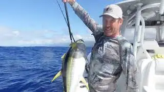 Shibi (small yellowfin tuna) and @freemanboatworks Mad Love!