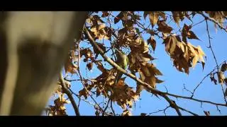 Er Drago - Brucio in fretta (prod. Depha Beat)