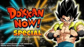 2024 DOKKAN NOW! SPECIAL (9th Anniversary) (한국어)