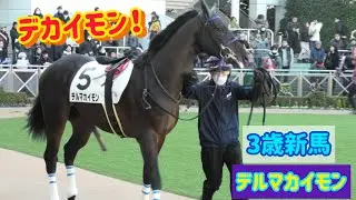 レースが近づくとデカイモンを収納！ON/OFFの切り替えができてるデルマカイモン