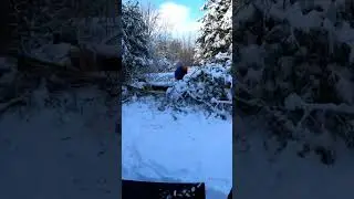 Widening the driveway #snow #huskvarna #winter #diy #outdoors #farming #maintenance #chainsaw #Part1