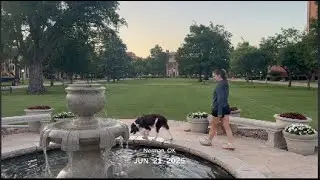One Second Every Day 2025