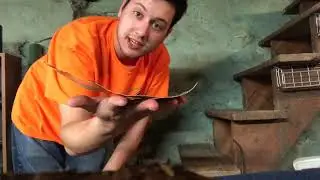 How to cut soda cans