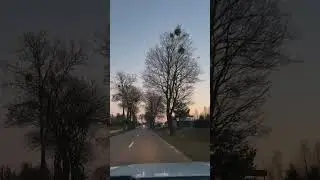 #driving #nosound #drivingaround #poland #automobile #car #shorts #ontheroad #cardriving #greenroad