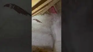 R&A INSULATION SERVICES in action
