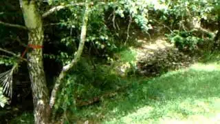 a pioneer hut  near a crystal clear creek B and B ESSONS VALLEY Picton New Zealand .AVI