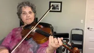 Day 320 - The Blackthorn Stick - Patti Kusturok&rsquo;s 366 Days of Fiddle Tunes
