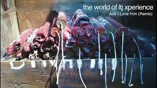 The World of LTJ Xperience | Best Funky Grooves of LTJ Xperience