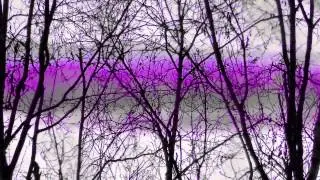 SUNSPOTS✨/CATS🐾slow Mo 🎥2015