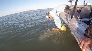 Yippykiyay m.f. Adventures  Karumba Gulf Trip 2018 with Big Barra