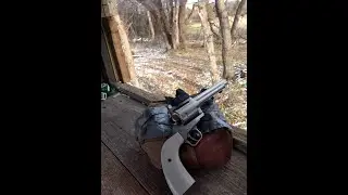 Hunting with Handguns