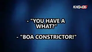 Ohio USA 911 Call Woman Attacked By Boa Constrictor Snake